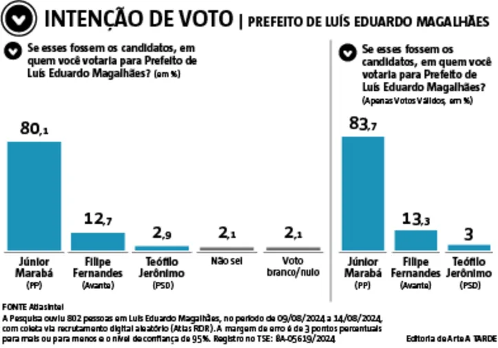 Intenção de Voto em Luís Eduardo Magalhães