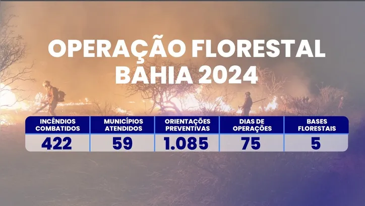 Imagem ilustrativa da imagem Quase 60 municípios foram atingidos por incêndios na Bahia em 2024