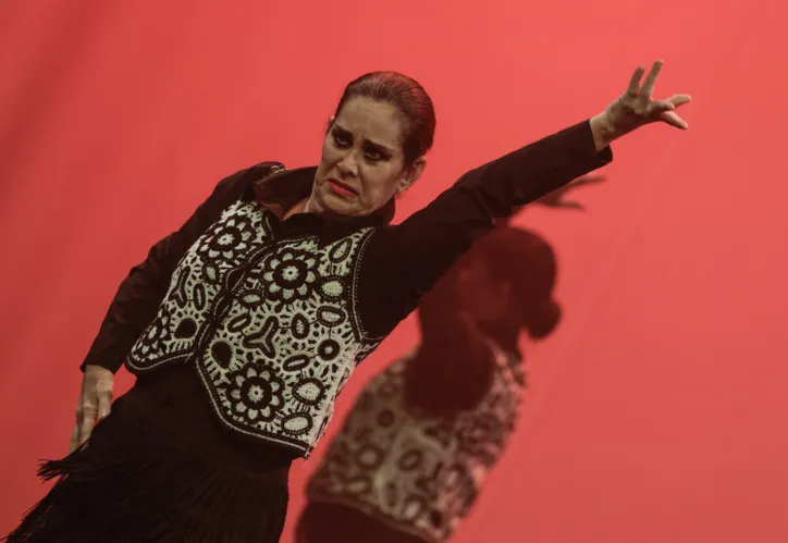 A Escola de Dança, Arte e Cultura Galega e Espanhola (EDACE) levou a força femina para o palco