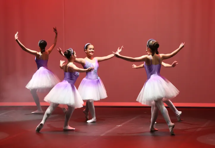 Para todos verem: Cinco dançarinas estão de braços erguidos. Elas usam um tutu rosa e um collant lilás