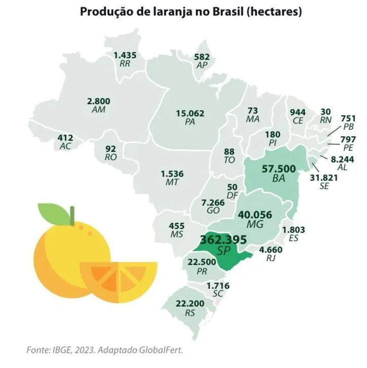 Imagem ilustrativa da imagem Sem principais pragas, Bahia mira 3⁰ lugar na produção de laranja