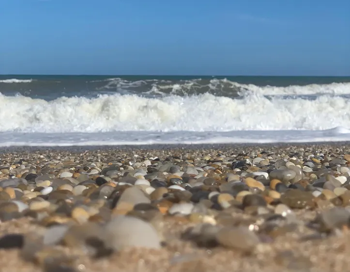 Imagem ilustrativa da imagem Conheça Porto de Sauípe, praia que atrai turistas no Litoral Norte