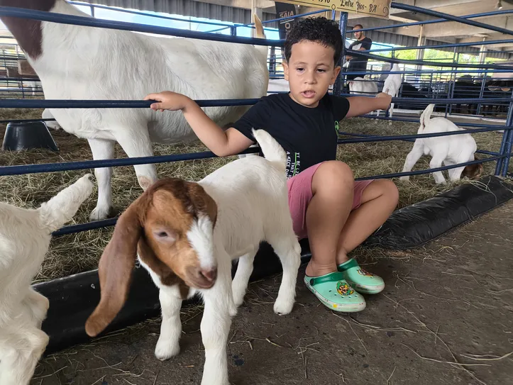 Imagem ilustrativa da imagem Família atípica curte animais da Fenagro: "Interação visual e de toque"