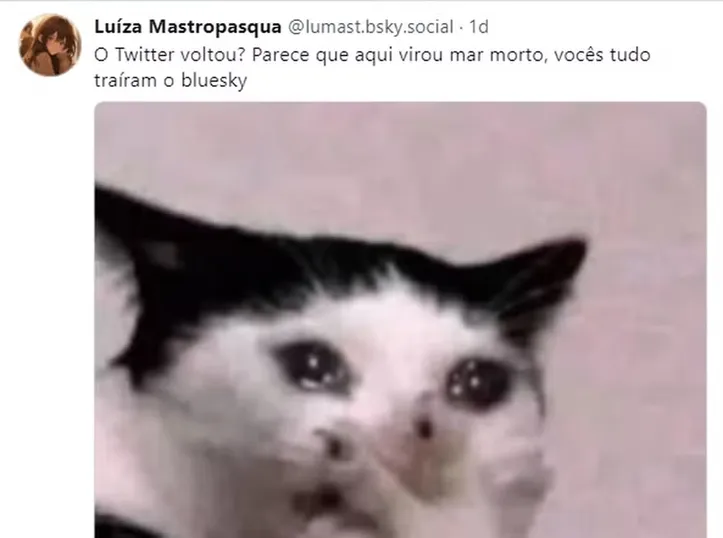 Imagem ilustrativa da imagem Memes voltam a circular após liberação do X (antigo Twitter); veja