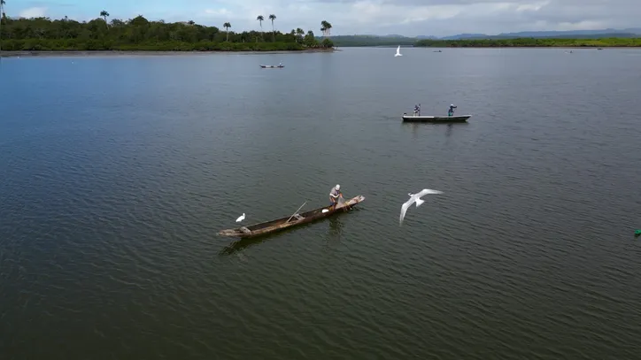 Projeto visa proteção da biodiversidade e dos mananciais