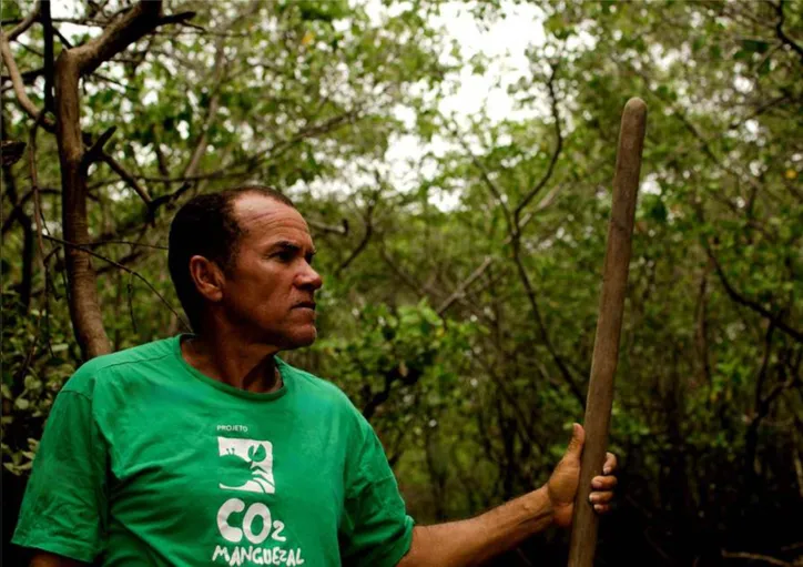 Imagem ilustrativa da imagem Projeto ambiental vai restaurar manguezais no Recôncavo Baiano