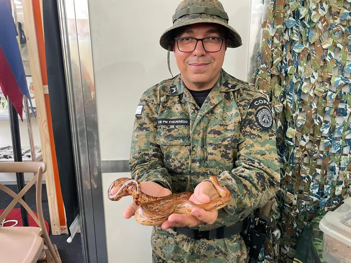 Imagem ilustrativa da imagem Público ‘lota’ exposição para tirar foto com cobra silvestre na Fenagro