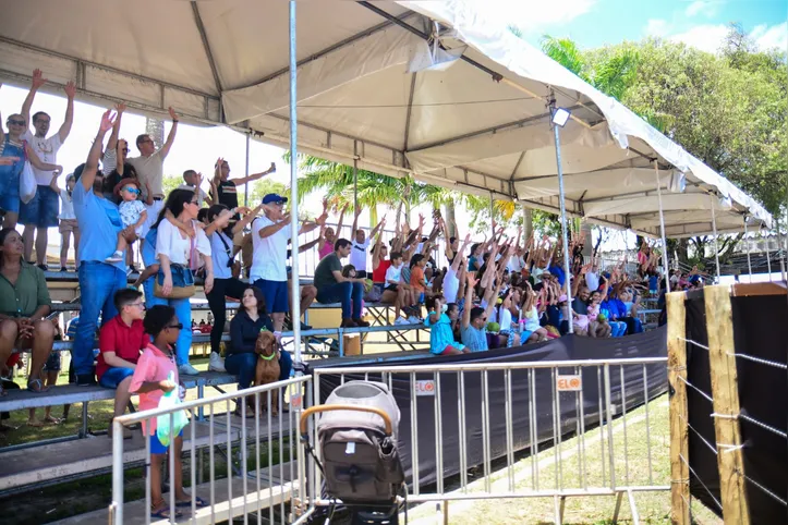 A competição simula a separação de gado nos currais