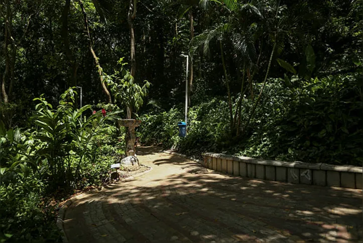 Alto do Itaigara tem como característica uma grande área verde