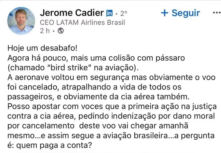 Imagem ilustrativa da imagem Avião da Latam colide com pássaro e CEO faz desabafo: "mais uma colisão"