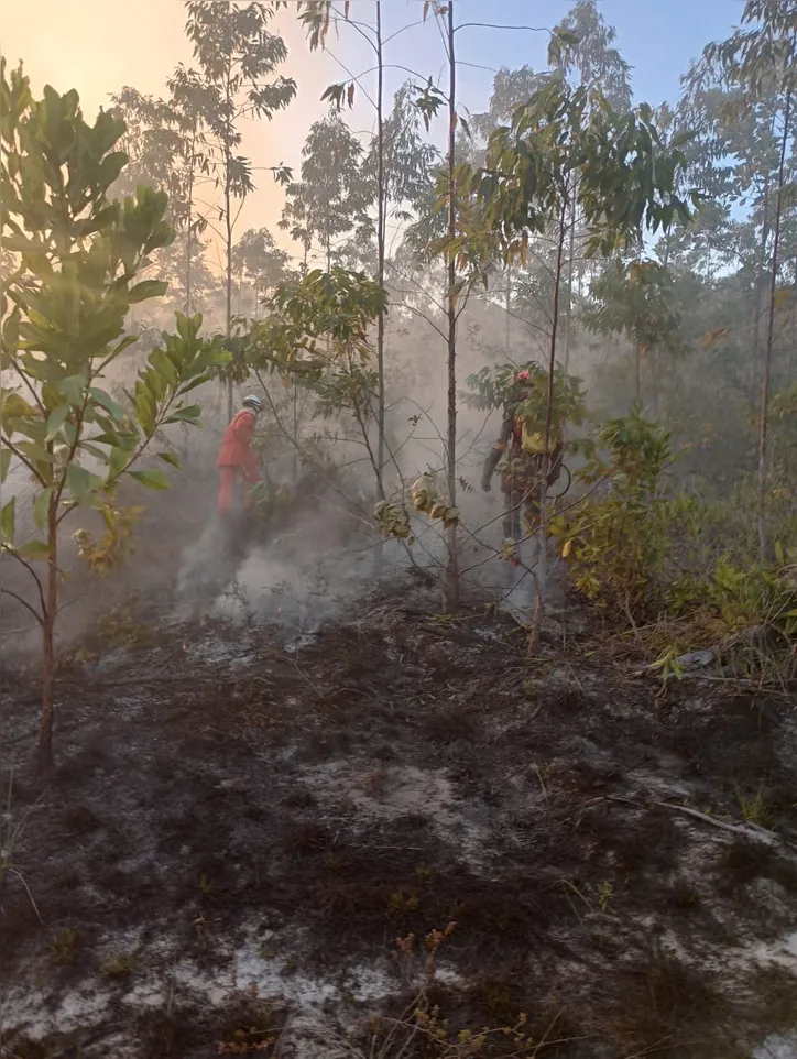 A causa do incêndio ainda é desconhecida