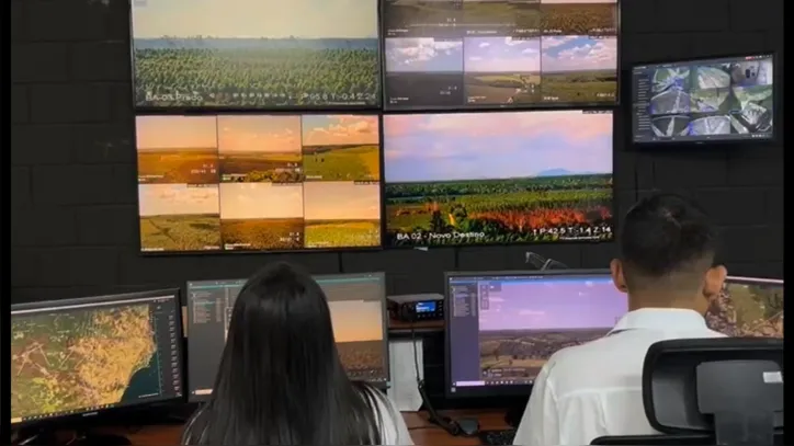 Imagem ilustrativa da imagem IA e tecnologia de ponta ajudam a proteger florestas no Sul da Bahia