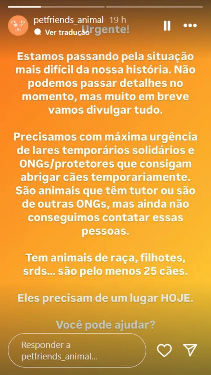 30 cachorros em situação de maus-tratos foram encontrados