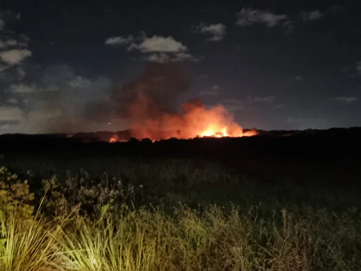 Imagem ilustrativa da imagem Vídeo: incêndio atinge área de mata em condomínio de Camaçari