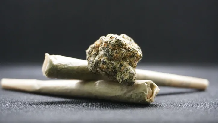 Droga ilícita no Brasil, maconha é culturalmente utilizada de forma recreativa