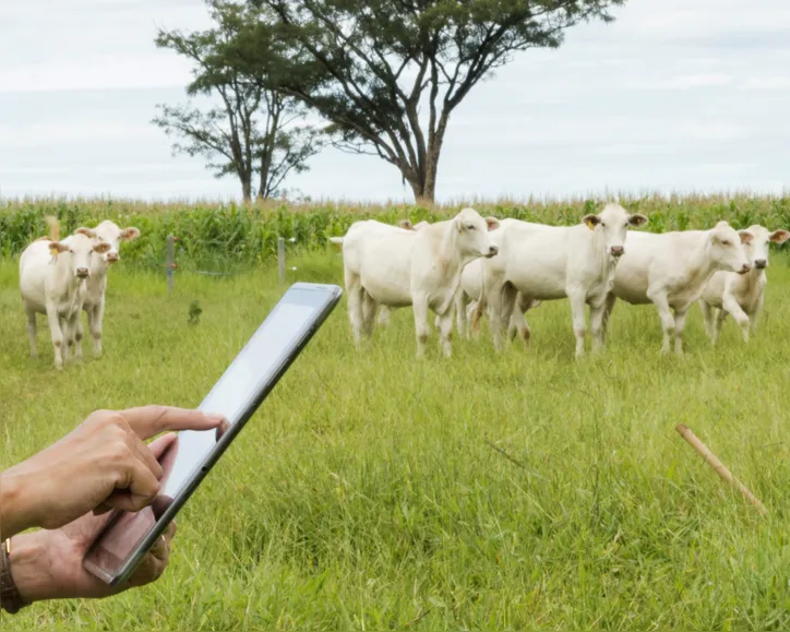 Imagem ilustrativa da imagem Bahia já colhe os frutos dos investimentos do agro em tecnologia