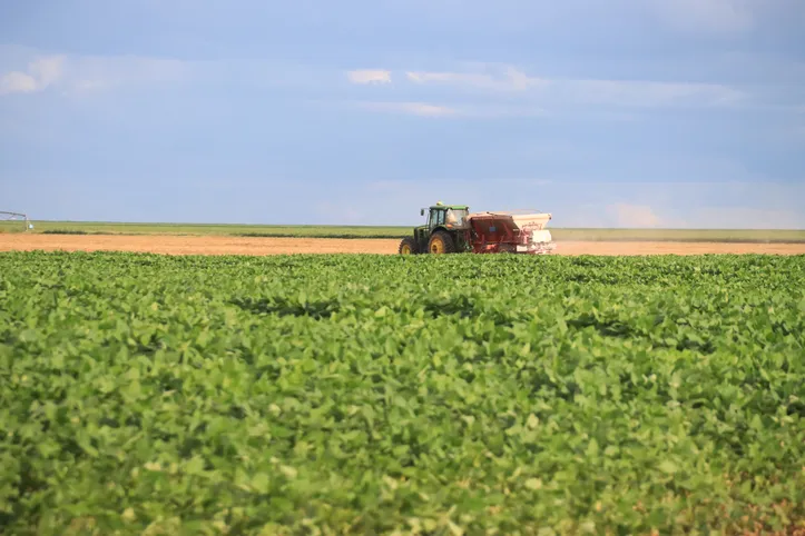 Nove dos principais produtos exportados do Brasil para o Irã são do setor agropecuário