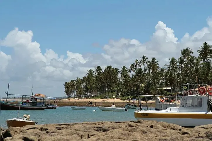Praia do Forte, em Mata de São João
