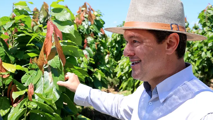 Moisés Schmidt no cacaueiral Schmidt Agrícola