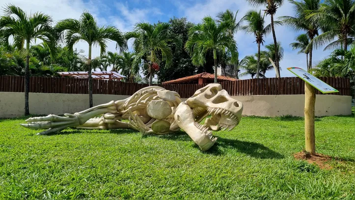 Imagem ilustrativa da imagem Com foco em animais locais, Zoológico da Bahia reabre após reforma