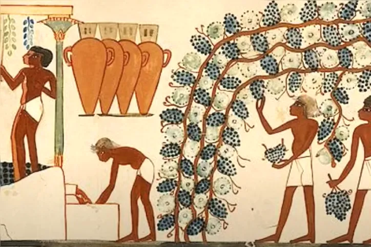 Imagem ilustrativa da imagem Sommelier resgata o protagonismo negro no mundo dos vinhos