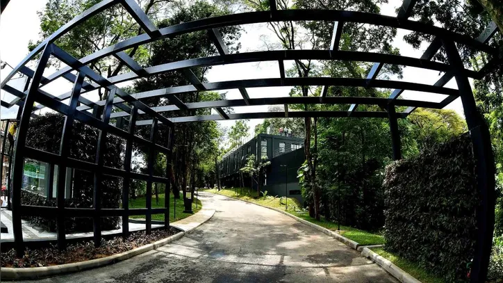 Jardim Etnobotânico