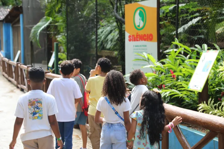 Imagem ilustrativa da imagem Após reabertura, zoológico recebe 67 mil visitantes no primeiro mês