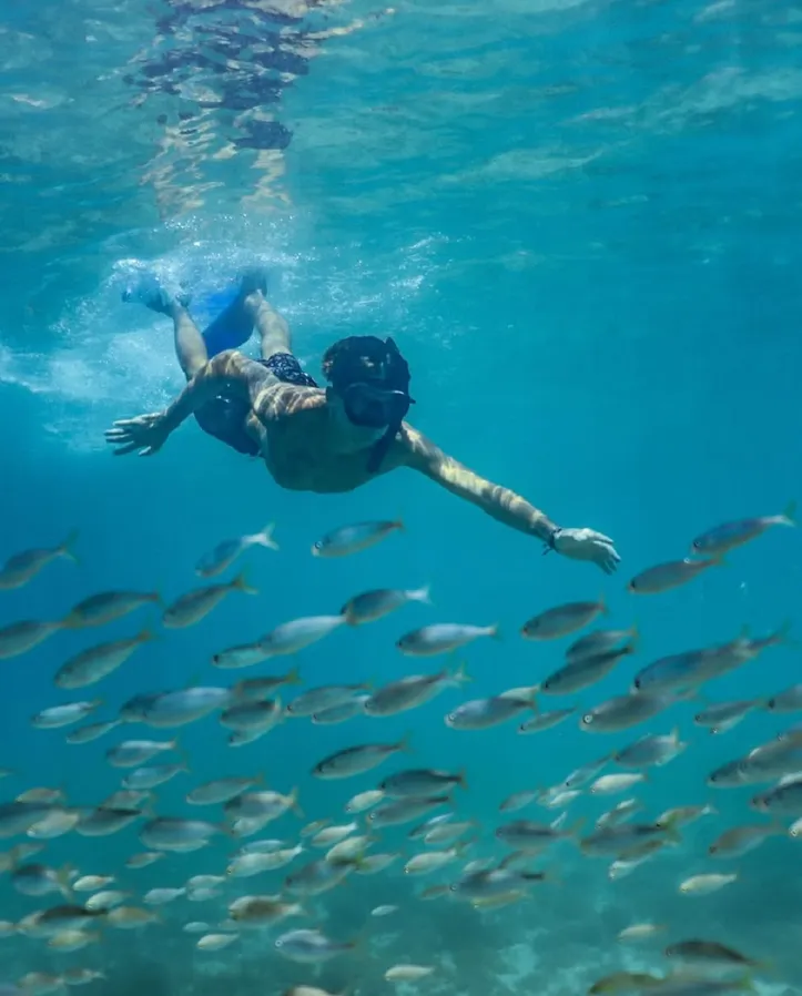 Mergulho de snorkel proporciona a visibilidade de uma vasta diversidade de espécies