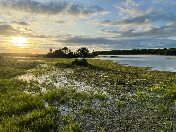 Pantanal (MT/MS)