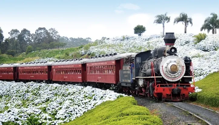 Rio Grande do Sul: Trem do Vinho