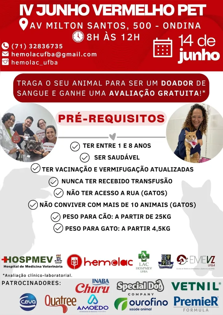 IV Junho Vermelho Pet