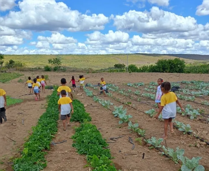 Projeto de alimentação saudável