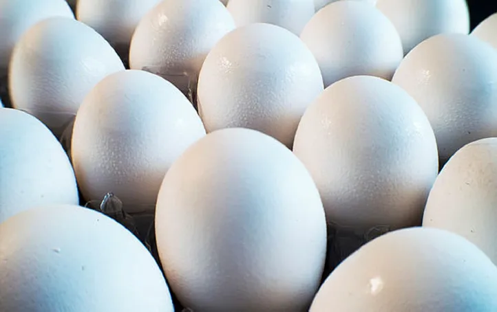 Ovo é um alimento nutritivo e protéico, mas o consumo cru pode causar infecção