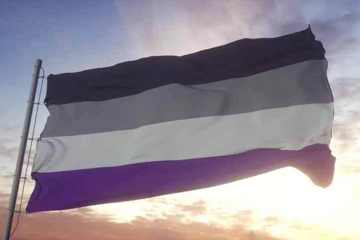 Bandeira assexual, identidade sexual que a pessoa sente baixa atração sexual