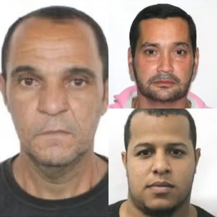 Detidos na ação