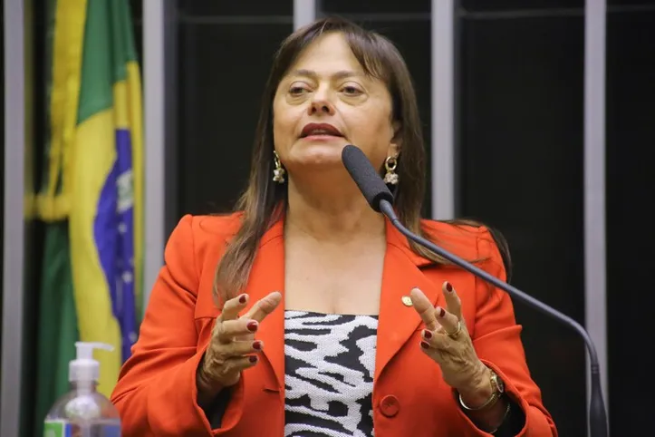 Deputa federal Alice Portugal