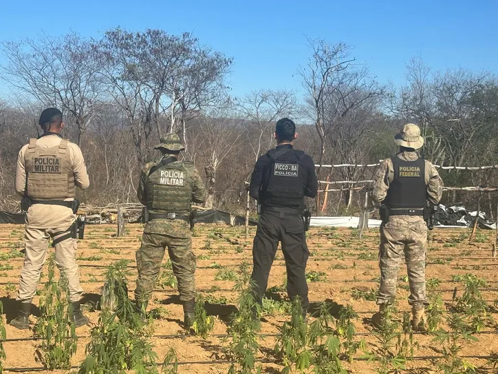 ofensiva contra a facção criminosa teve início nas primeiras horas da manhã