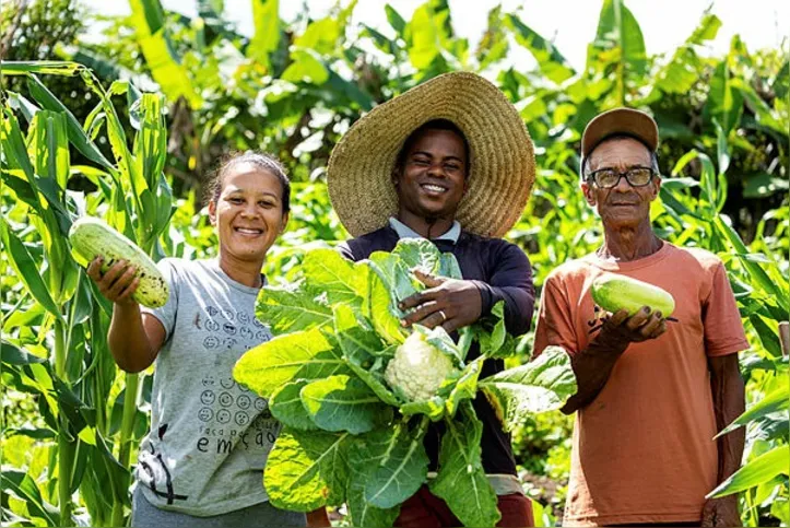 Imagem ilustrativa da imagem Feira de Santana impulsiona produção da agroindústria familiar no interior da Bahia