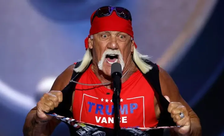 Hylk Hogan, fenômeno do  wrestling profissional