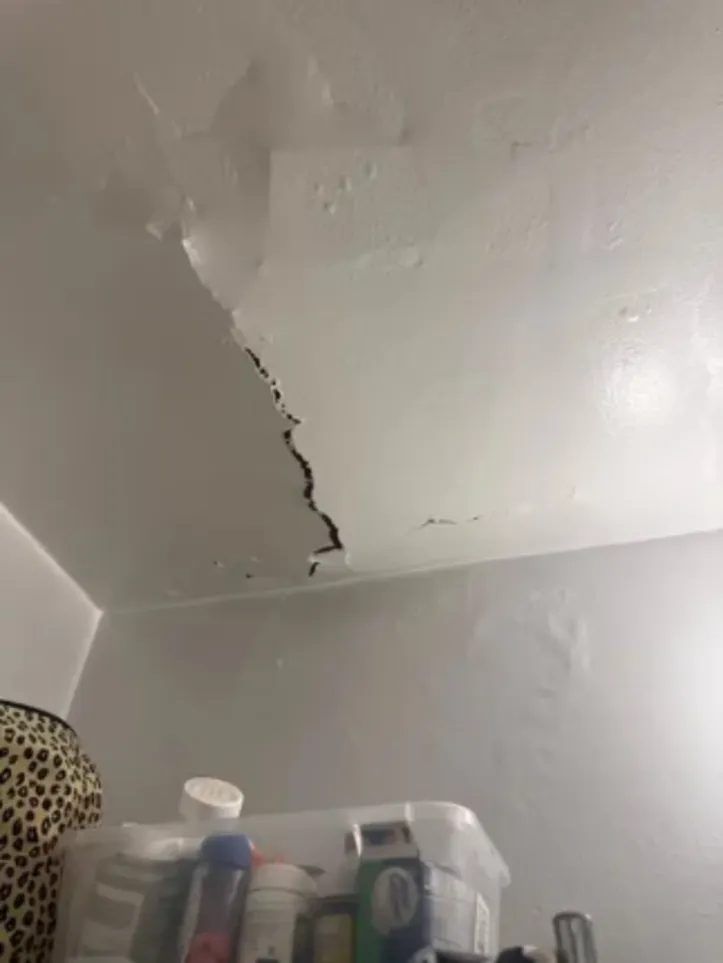 Inquilina mostrou como estava seu teto