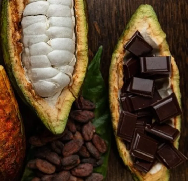 Imagem ilustrativa da imagem O sabor irresistível do chocolate pode se tornar mais delicioso graças a fermentação