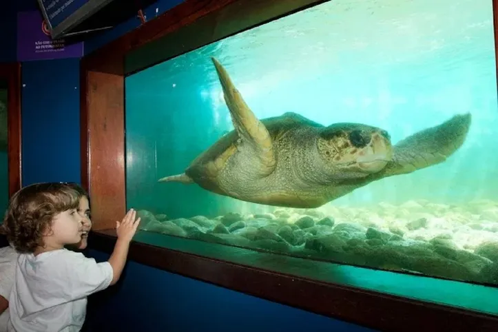 Projeto Tamar de Ubatuba é uma das atrações voltadas ao público infantil na cidade