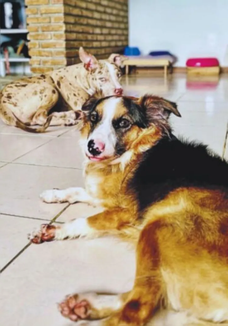 Bento e Isabela têm plano de coparticipação