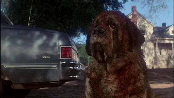 Cujo. um dos clássicos no tema de animais no terror