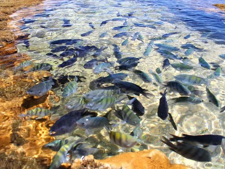 Região forma diversas piscinas naturais