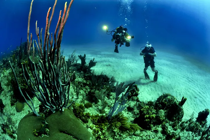 Ilha de Boipeba faz parte da Área de Proteção Ambiental (APA), que contribui para conservação local