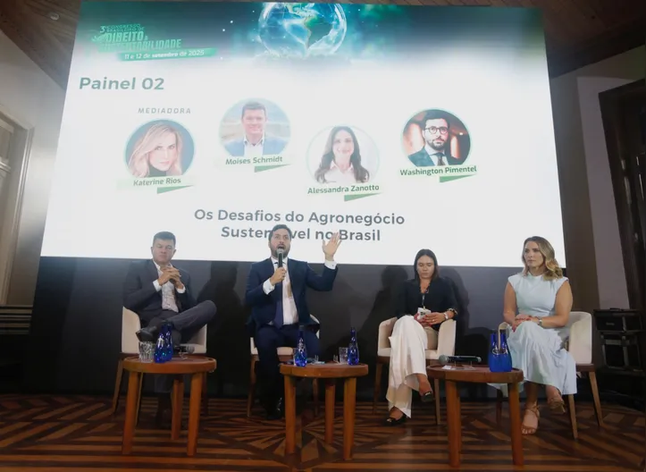 Painel 2 do primeiro dia do IbradeS