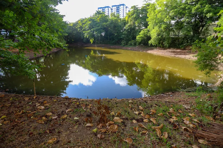 Lagoa dos Patos