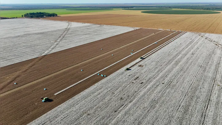 Produtores de algodão do oeste baiano têm investido em irrigação  e práticas de manejo do solo