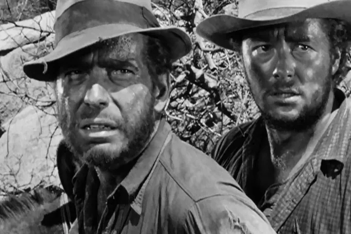 Imagem ilustrativa da imagem Esses são os 10 melhores filmes da história, segundo Stephen King